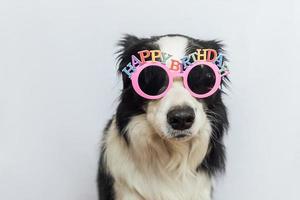 alles gute zum geburtstag partykonzept. lustiger süßer Welpe Hund Border Collie mit dummen Geburtstagsbrillen isoliert auf weißem Hintergrund. Hund am Geburtstag. foto