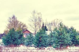Dorf im Winter schneebedeckter Wald. Urlaubskarte. foto