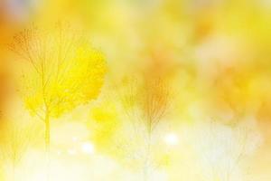 Herbstlandschaft mit leuchtend buntem Laub. Indischer Sommer. foto