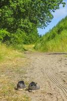 naturpanorama verlorene schuhe auf weg pflanzen bäume wald deutschland. foto