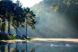 morgendlicher blick mit duo schwänen reflexion und strahl auf das königliche initiativenprojekt pang tong pang ung mae hong son thailand foto