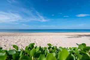 Sandstrand mit blauem Meer und Himmel mit Blättern im Vordergrund foto