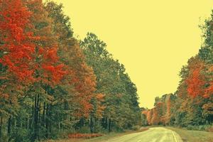 Straße in einem herbstlichen Wald mit bunten Bäumen. Landschaft. foto