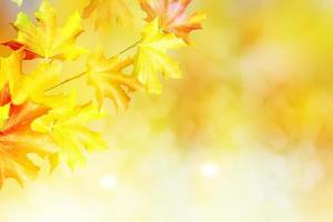 Herbstlandschaft mit leuchtend buntem Laub. Indischer Sommer. foto