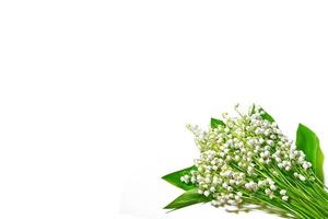 der Zweig der Maiglöckchen Blumen isoliert auf weißem Hintergrund foto