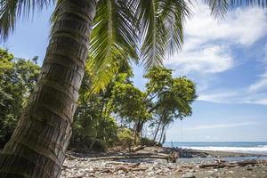 Strand und Dschungel in Costa Rica