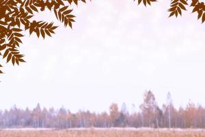 Herbstlandschaft mit leuchtend buntem Laub. Indischer Sommer. foto