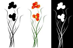 Frühlingsblumen Tulpen isoliert auf weißem Hintergrund. foto