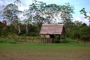 Amazon Dschungel Single Hut