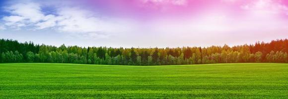 Landschaft mit den hellgrünen Bäumen und dem blauen Himmel. foto