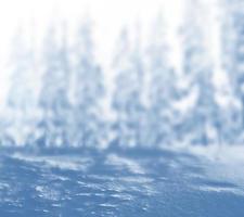 unscharfer Weihnachtshintergrund. Bäume im Schnee. Winterwald foto