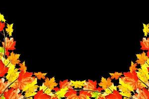 Blätter im Herbst auf schwarzem Hintergrund isoliert. foto