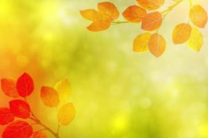 Herbstlandschaft mit leuchtend buntem Laub. Indischer Sommer. foto