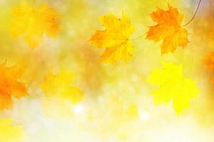 Herbstlandschaft mit leuchtend buntem Laub. Indischer Sommer. foto