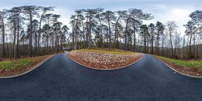 Vollkugelförmiges HDRI-Panorama 360-Grad-Winkelansicht auf asphaltiertem Fußweg und Radweg im Kiefernwald bei bewölktem Wetter in äquirechteckiger Projektion. vr ar-Inhalt foto