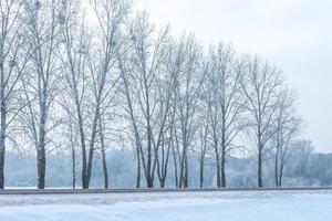 Landschaft mit schneebedeckten Bäumen entlang der Autobahn foto