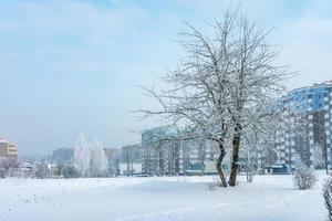 Panorama des Wohngebiets der Stadt an einem sonnigen Wintertag mit Raureifbäumen foto