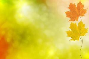 Herbstlandschaft mit leuchtend buntem Laub. Indischer Sommer. foto