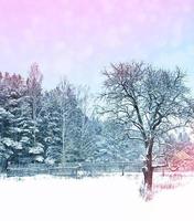 Dorf im Winter schneebedeckter Wald. foto