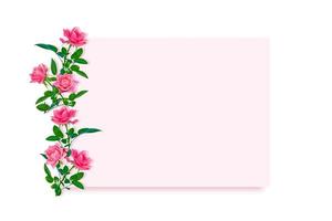 leuchtend bunte Blumenrose foto