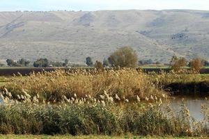 Landschaft in den Bergen im Norden Israels foto