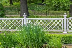 Stadtgarten in voller Blüte foto