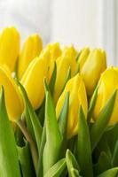 gelber tulpenblumenstrauß hautnah foto