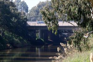 Brücke über einen Fluss in Israel. foto