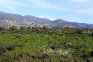 Landschaft in den Bergen im Norden Israels foto