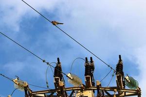 elektrische Leitungen, die Hochspannungsstrom führen. foto