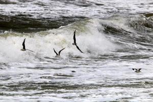 Sturm im Mittelmeer vor der Küste Israels. foto