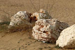 Steine in einem Stadtpark an der Mittelmeerküste foto