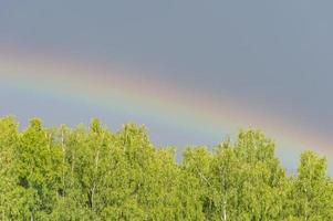 Regenbogen über Wald foto