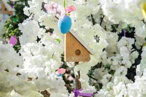 Vogelhaus aus Holz auf blühendem Apfelbaum. Frühlingsdekoration für Garten und Stadt foto