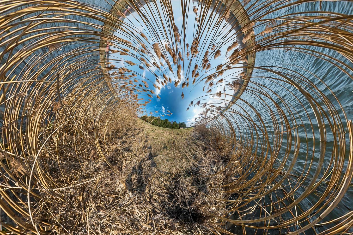 liten planetomvandling med krökning av rymden. sfärisk antenn 360 panoramautsikt på stranden av sjön med snår av vass i solig sommar foto