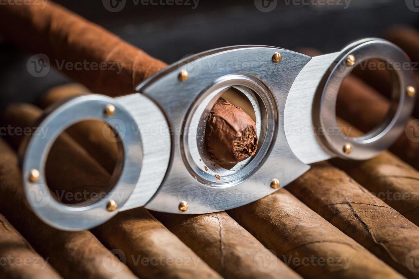 guillotin avskärning av cigarrspetsen foto