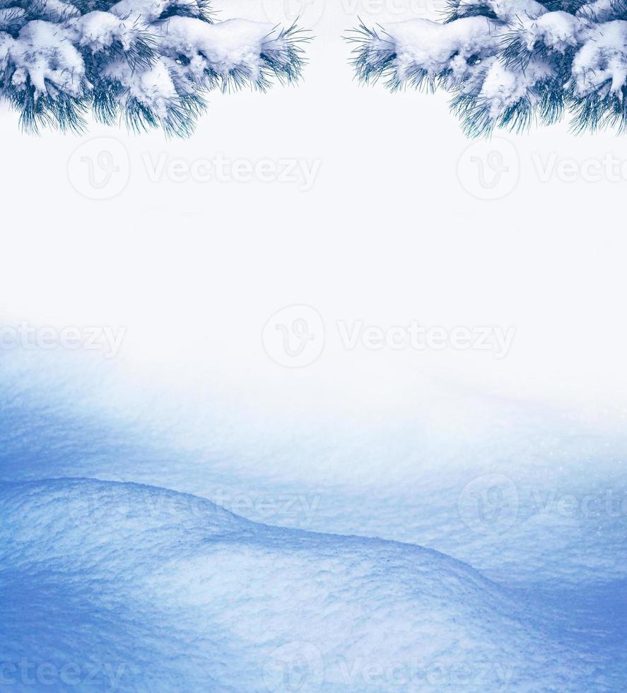 jul bakgrund med snötäckta gran grenar foto