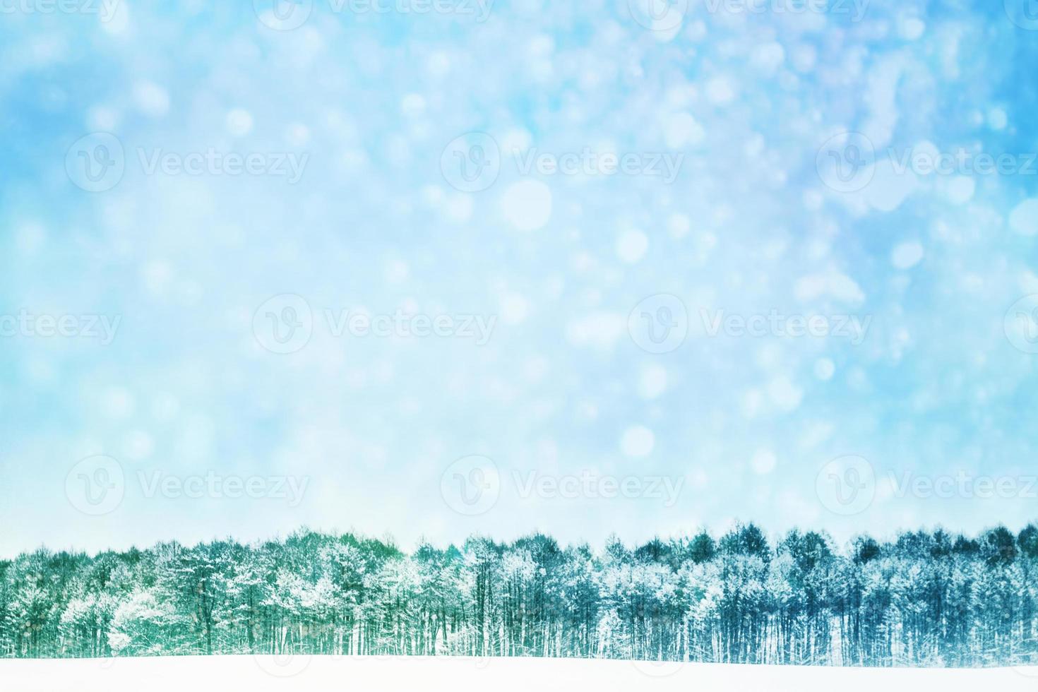 suddig bakgrund. vinterskog med snötäckta träd. foto