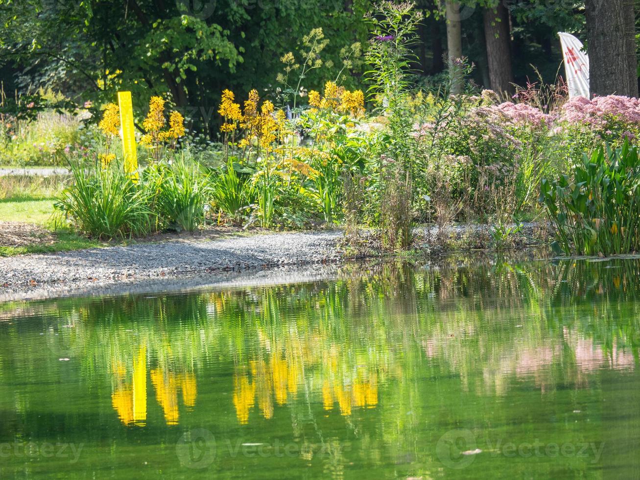 sommartid i en tysk park foto