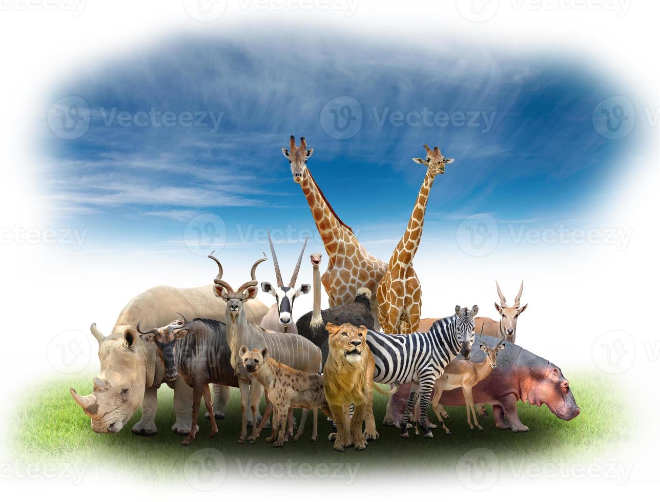 grupp av afrikanska djur foto