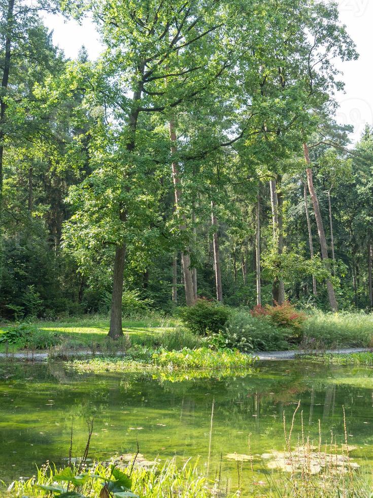 sommartid i en tysk park foto