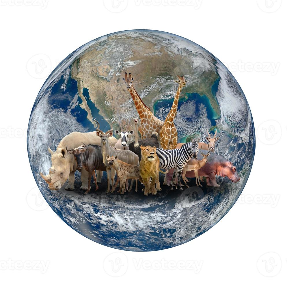grupp av afrikanska djur med planeten jorden foto