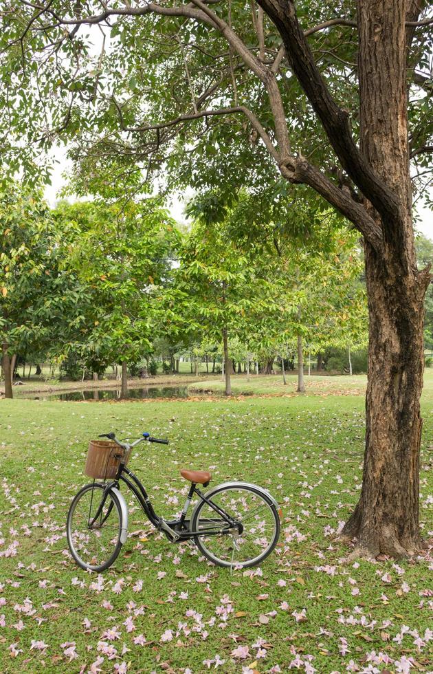 cykel med i parken naturlig bakgrund foto