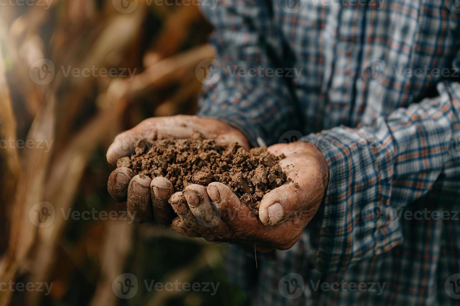gammal bonde håller jord i kupade händer på gården foto