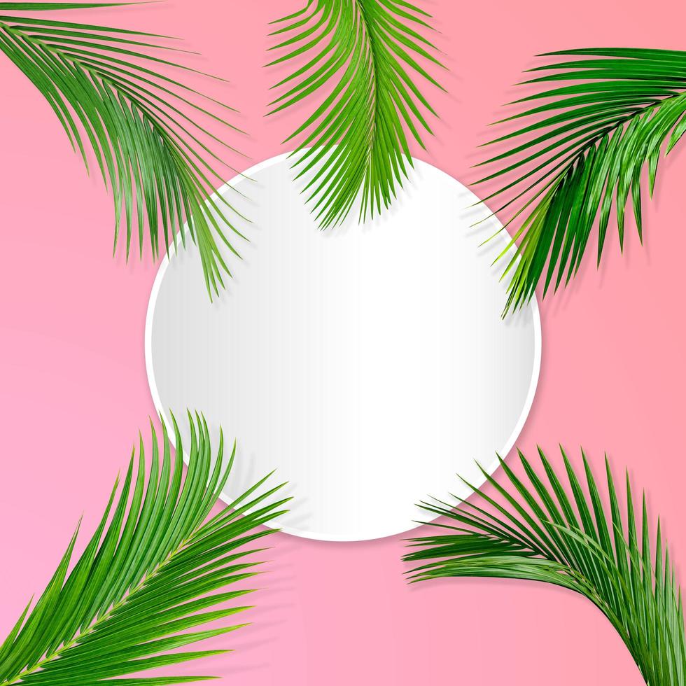 gröna palmblad mönster för natur koncept, tropiska blad på pastell papper bakgrund foto
