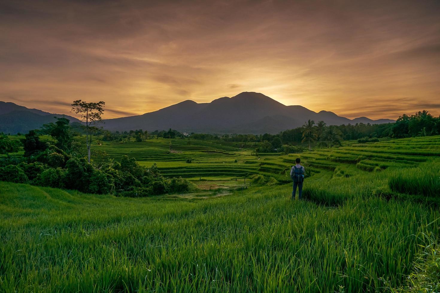 indonesiens extraordinära naturlandskap. utsikt över en solig morgonsoluppgång i risfälten med en fotograf foto