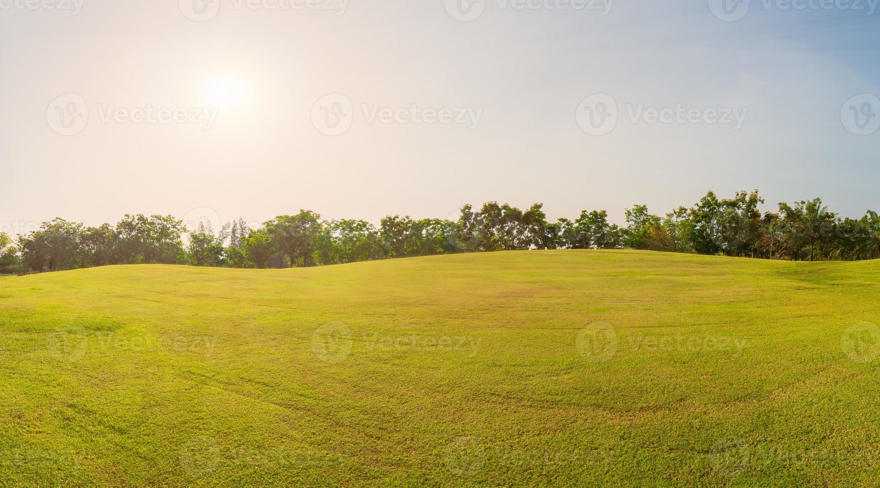 panorama grönt gräs på golffältet i everning tid foto