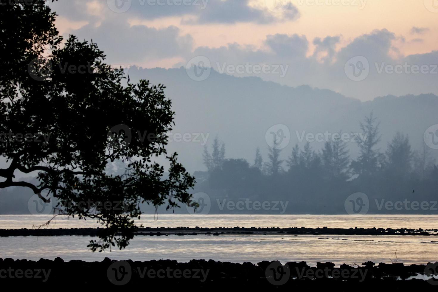 atmosfären vid havet tidigt på morgonen. första ljuset före soluppgången. mangrove-skog. foto