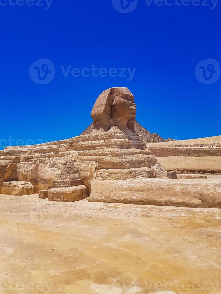 stora sfinxen i giza i Egypten foto