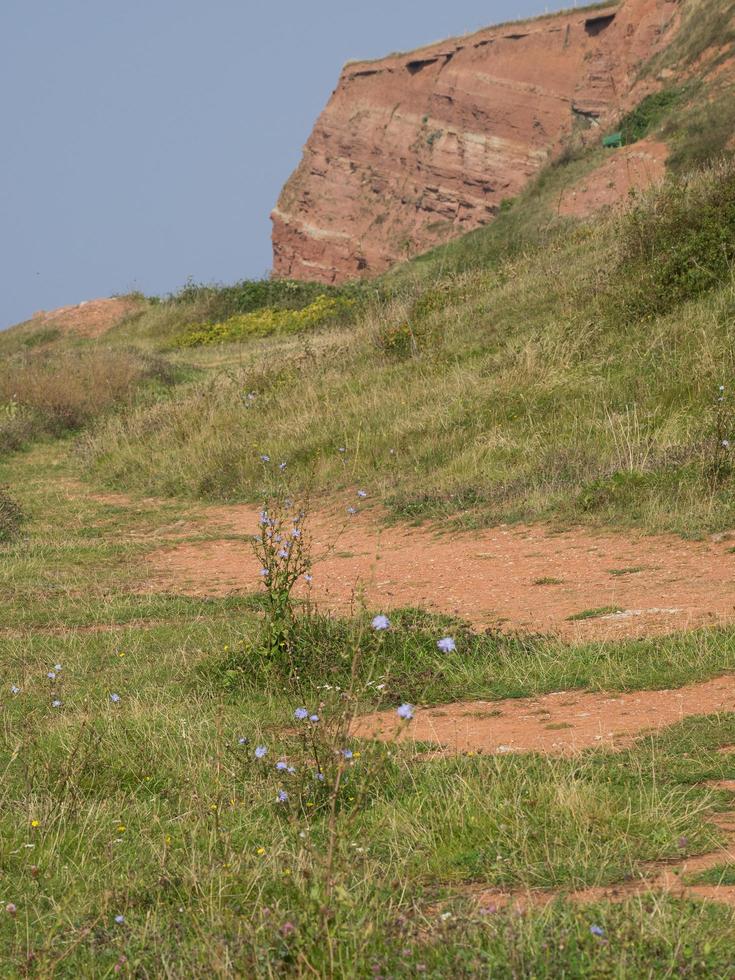 helgoland ön i Nordsjön foto